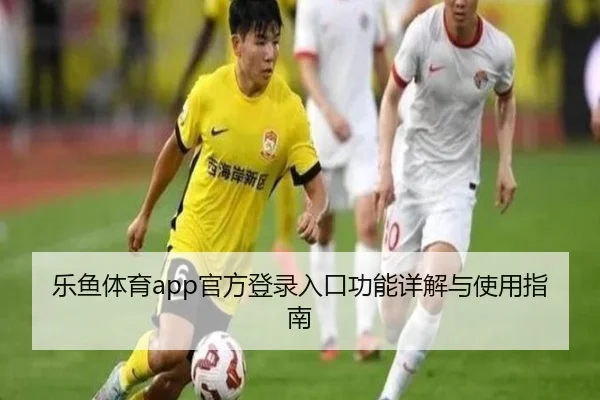 乐鱼体育app官方登录入口功能详解与使用指南
