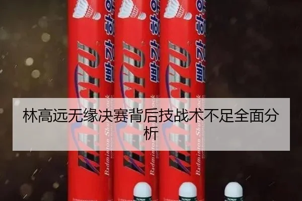 林高远无缘决赛背后技战术不足全面分析