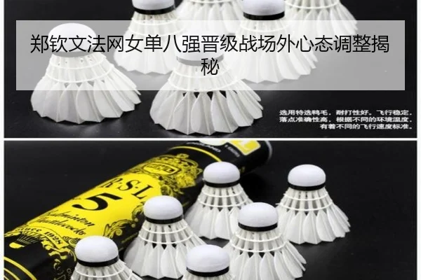 郑钦文法网女单八强晋级战场外心态调整揭秘